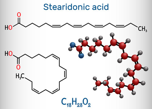 Stearidonic acid, moroctic acid, SDA molecule. It is an omega-3, fatty, octadecatetraenoic acid. Structural chemical formula and molecule model