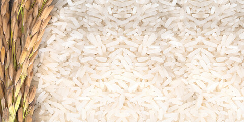 White rice (Jasmine rice) thailand.