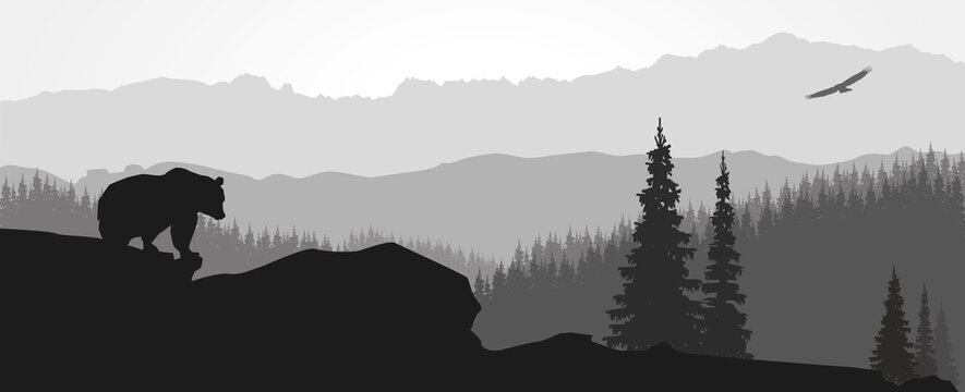 Paysage de montagne avec ours