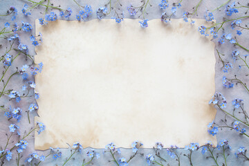 Background for congratulations text, paper for text and forget-me-not flowers