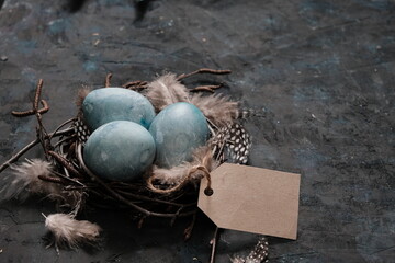 Blue eggs in a genuine bird nest with label shot against a black background with generous...