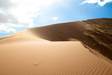 D&uuml;ne in sengender Hitze