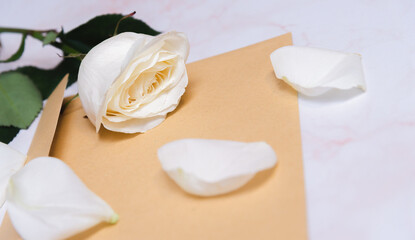 the rose lies on a paper envelope as a background. valentine's day celebration and eighth march concept