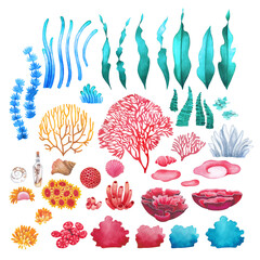 Watercolor collection of sea weeds, corals and ocean plants - obrazy, fototapety, plakaty