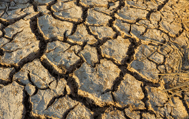 Cracked soil