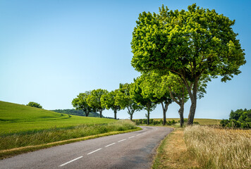 The Short & Winding Road.