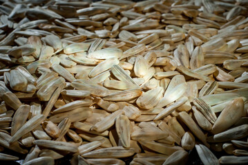 Obraz premium White sunflower texture close up. Seeds on a pile. Contrasting dramatic light as an artistic effect.