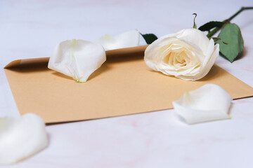 the rose lies on a paper envelope as a background. valentine's day celebration and eighth march concept
