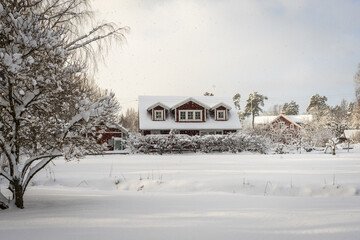 Snowfall in village. Beautiful wooden country houses painted in red color.  Traditional...