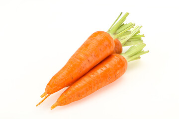 Three Young fresh ripe carrot