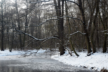 flußlandschaft