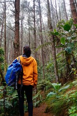 Young woman in yellow jacket and blue backpack walking through the forest and looking at the trees