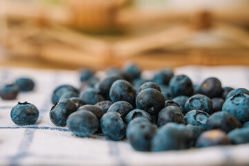 Blueberries are scattered on a white towel