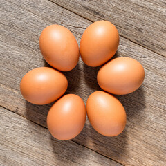 Chicken egg on the wooden board background. Flat lay. Square size of photo.