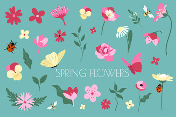 Spring Floral Elements Vector Set. Flowers, butterflies, lady bug illustrations collection