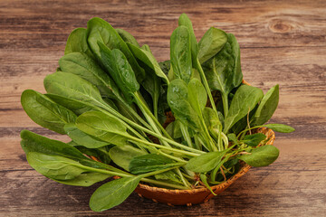 Fresh green Spinach leaves heap