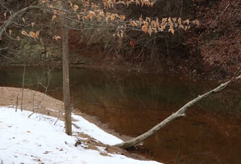 Stream in Winter