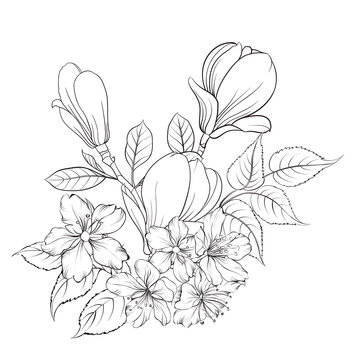 Floral bouquet on white background. Vector illustration.
