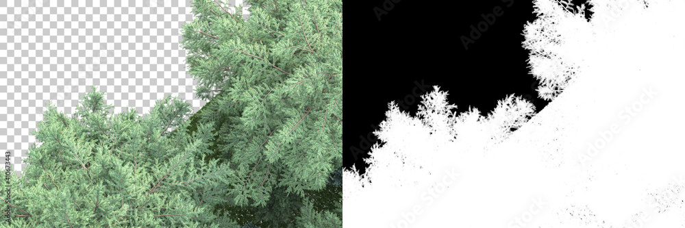 Poster forest isolated with mask. image useful for banners and posters or photo manipulations. 3d rendering