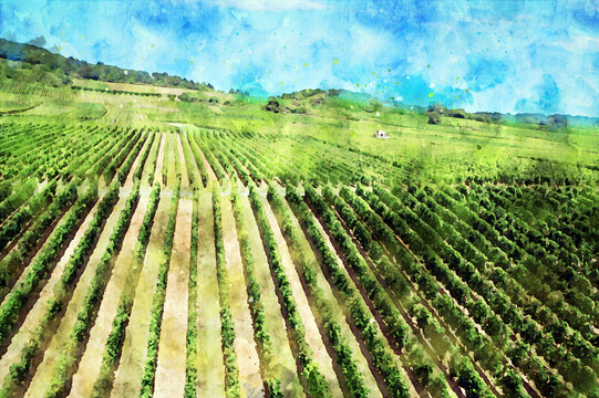 Watercolor Painting Of Vineyards In Rhine Gorge In Germany.