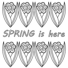 Spring is here. Hand drawn cartoon illustration. Seasonal design