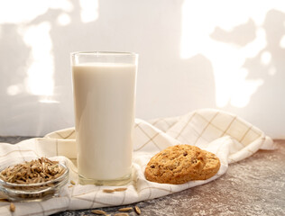 Oatmeal milk in a glass, cookies and oat grains on the table.A healthy breakfast or snack.