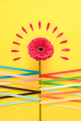 Pink daisy with petal around flower and colorful crossed paper strips on yellow background. Minimal spring flat lay concept.