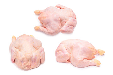 Raw chicken isolated on white background.