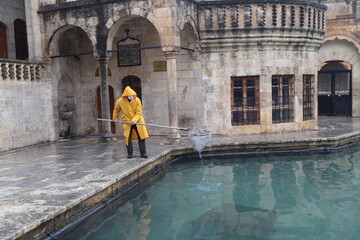 Fototapete bei efototapeten.de bestellen   