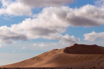 Fototapeta na wymiar Golden sand dune 7 and white clouds on a sunny day in the Namib desert.