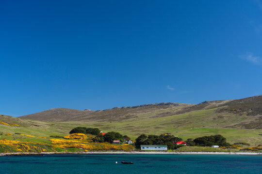 View From Carcass Island, West Falkland Islands