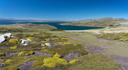 View from West Point Island, West Falkland Islands.