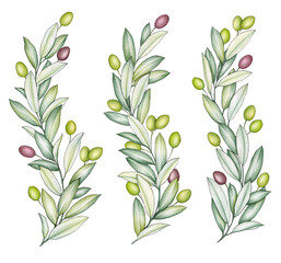 Olive arrangement with ripe olives on a white background