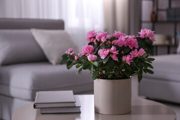 Modern living room interior with beautiful potted plant, space for text