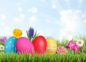 Bright Easter eggs and spring flowers on green grass outdoors