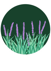Lavender Label