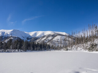 Tatry zimą