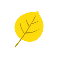 leaf isolated on white background