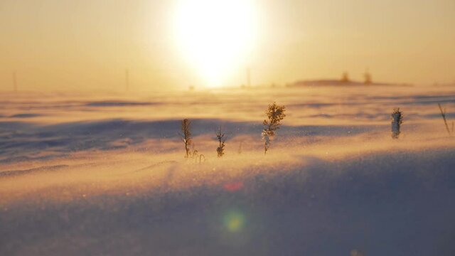 Arctic snow storm at sunset. Polar snow drifting storm and blizzard. Extreme Temperature.