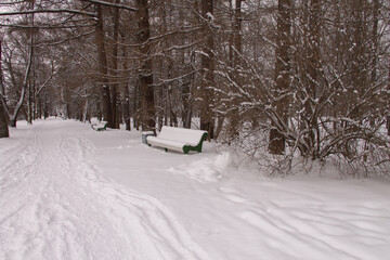 winter landscape snow covered bench in the city park among the trees