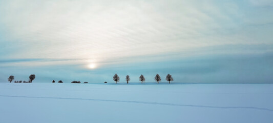 Stunning panorama of snowy snow landscape in winter in Black Forest - winter wonderland, beautiful...