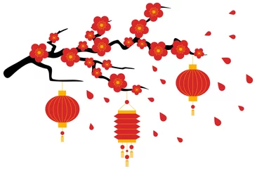 Chinesische Neujahrslaternen auf einem Zweig blühender Sakura. © Elena