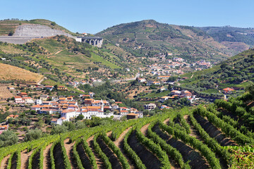 Fototapeta na wymiar Amazing views of Douro vineyards from Presegueda village, Portugal