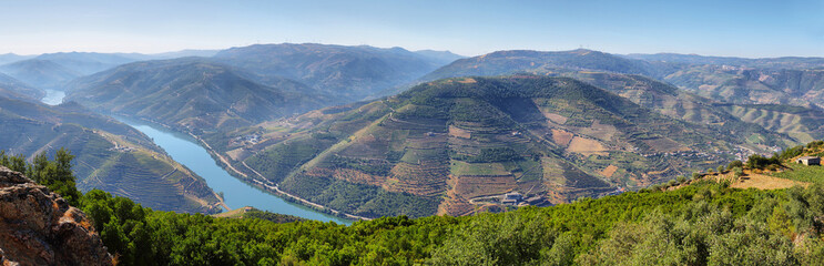 Amazing views of Douro vineyards from Sao Leonardo De Galafura viewpoint, Portugal