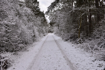 Snowy country road