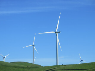 Fototapeta premium Wind mills