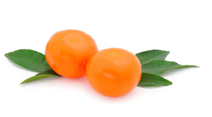 Two tangerines isolated.