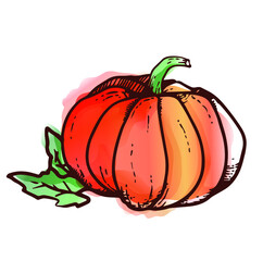 Vector pumpkin in watercolor style with leaves