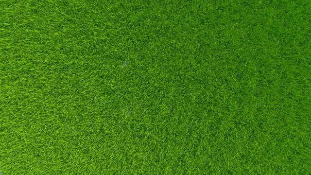 A wheel of grass appears in a spiral, obscuring the entire screen. After a while, the transition between the shots disappears in a spiral. Includes a transparency channel, alpha.