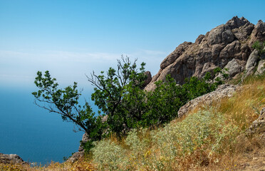 Fototapeta na wymiar Mediterranean landscape. Forested rocks of the Black Sea coast of the southern coast of the Crimean Peninsula on a clear sunny day.
